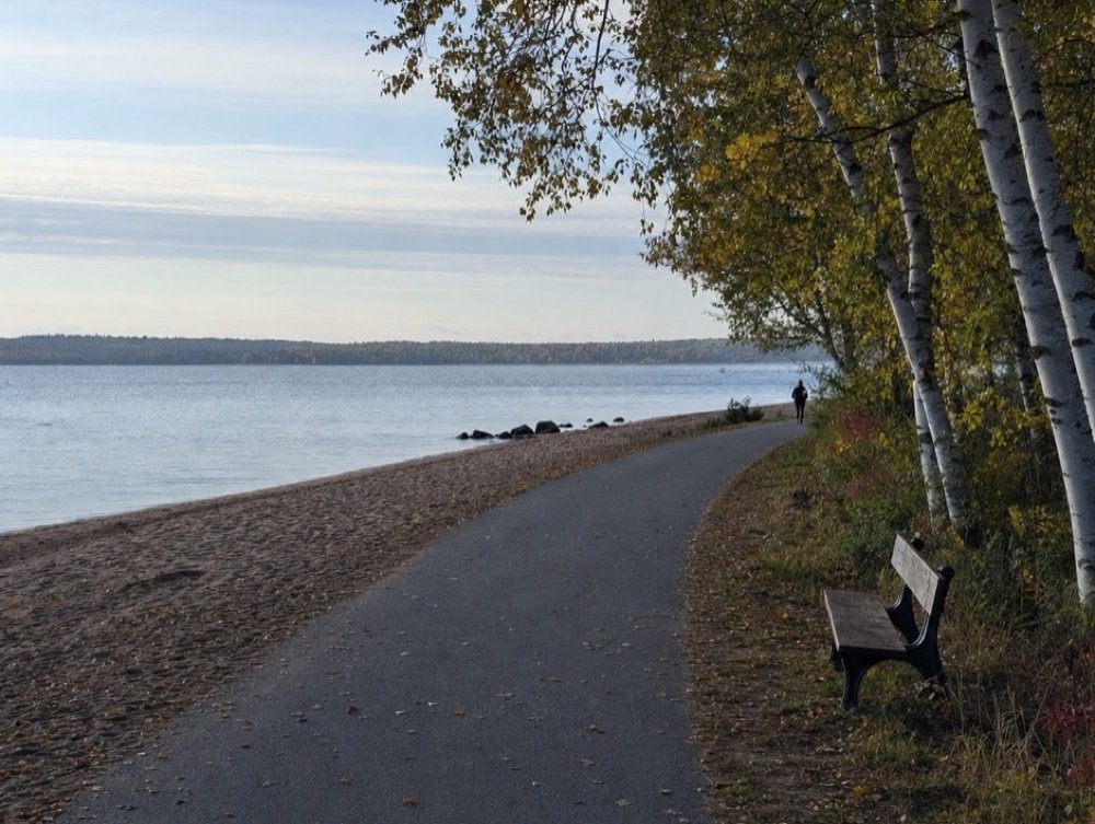 A paved path along a sandy shoreline beside a few white birches in early autumn, one bench facing the open water